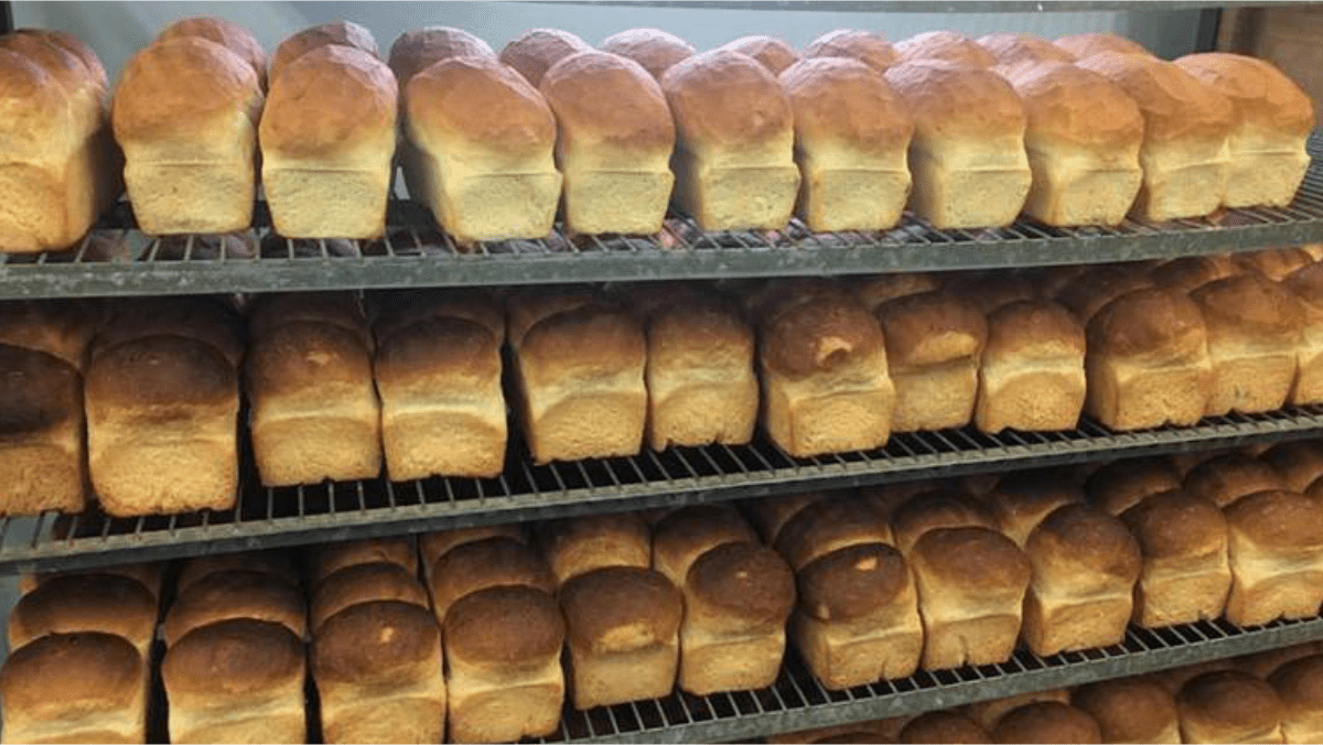 Bread Bakery