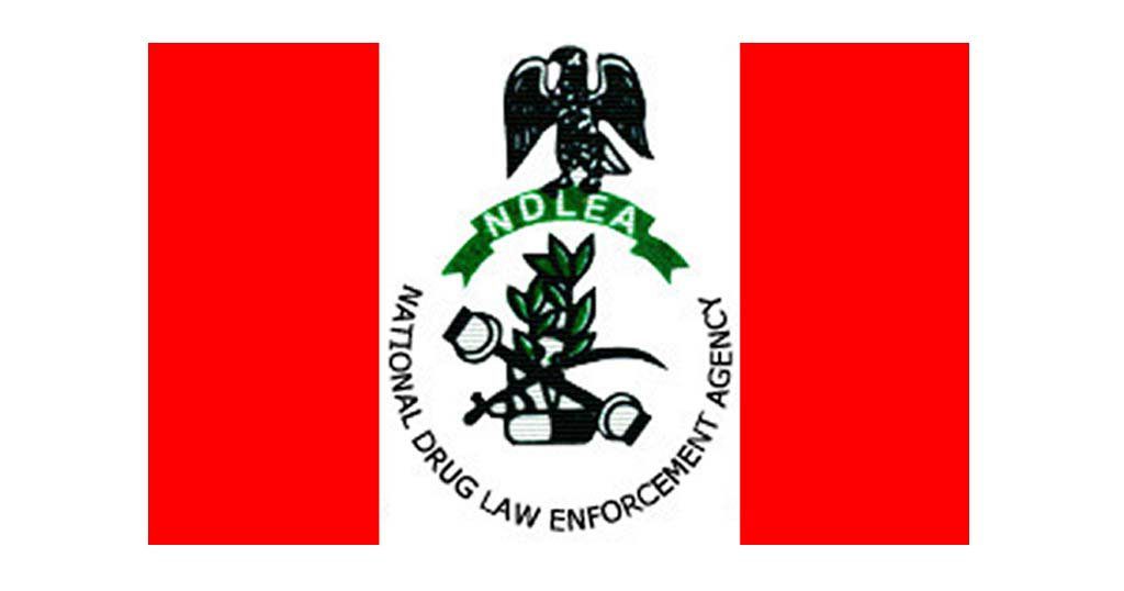 NDLEA detains a physically challenged businesswoman traveling to Turkey for drug trafficking