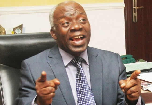 Femi Falana 1